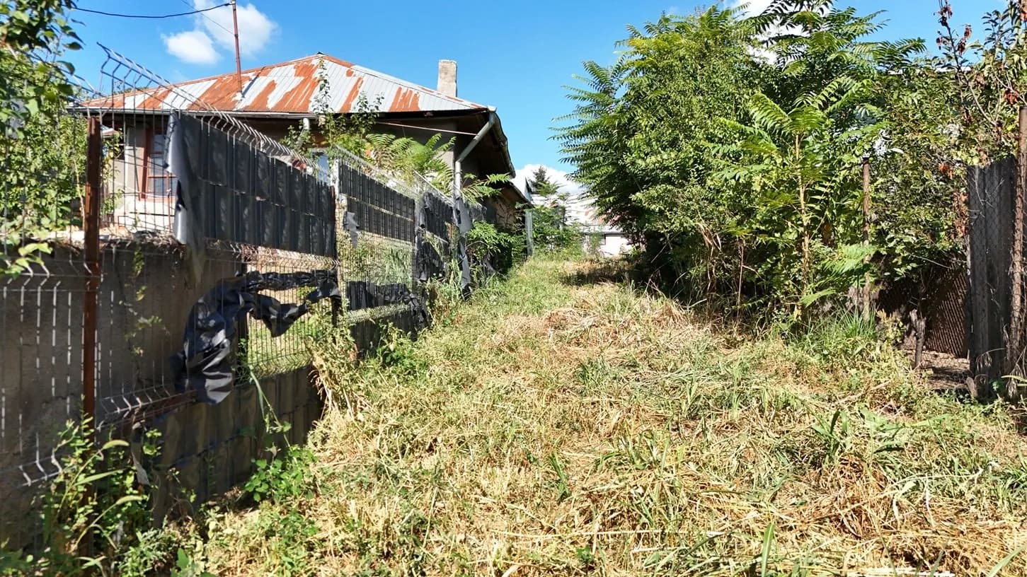 Intrare teren cu gard, vegetație spontană