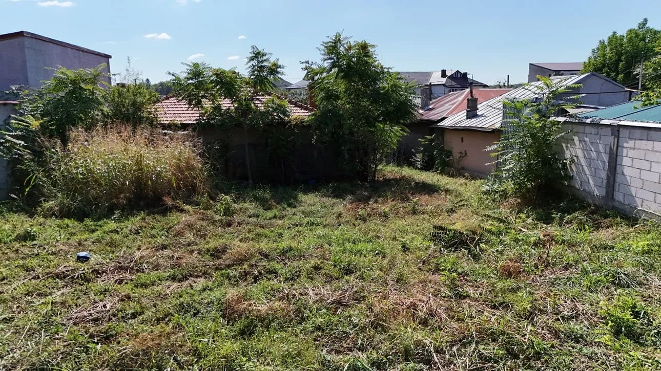 Teren neamenajat cu vegetație, pomi și ziduri