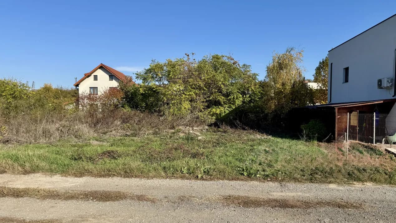 Teren cu vegetație și construcție din spate