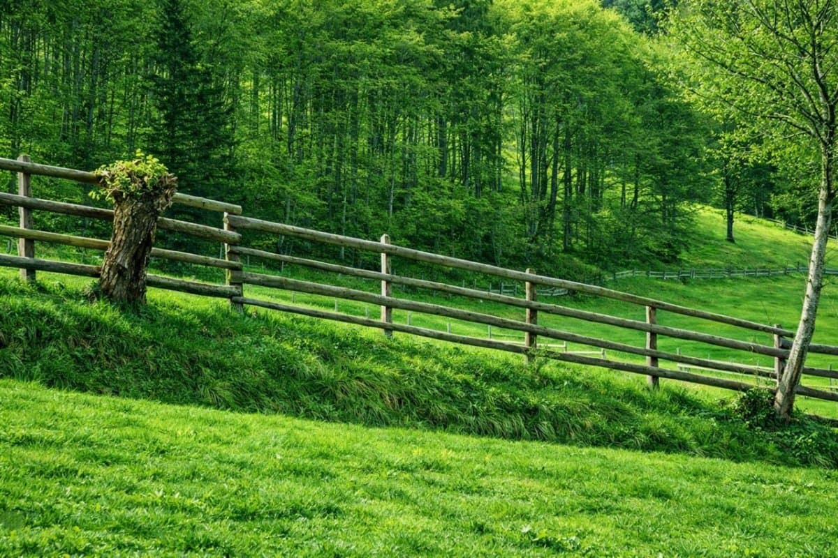 Teren, Brasov, Brasov — fotografia 3