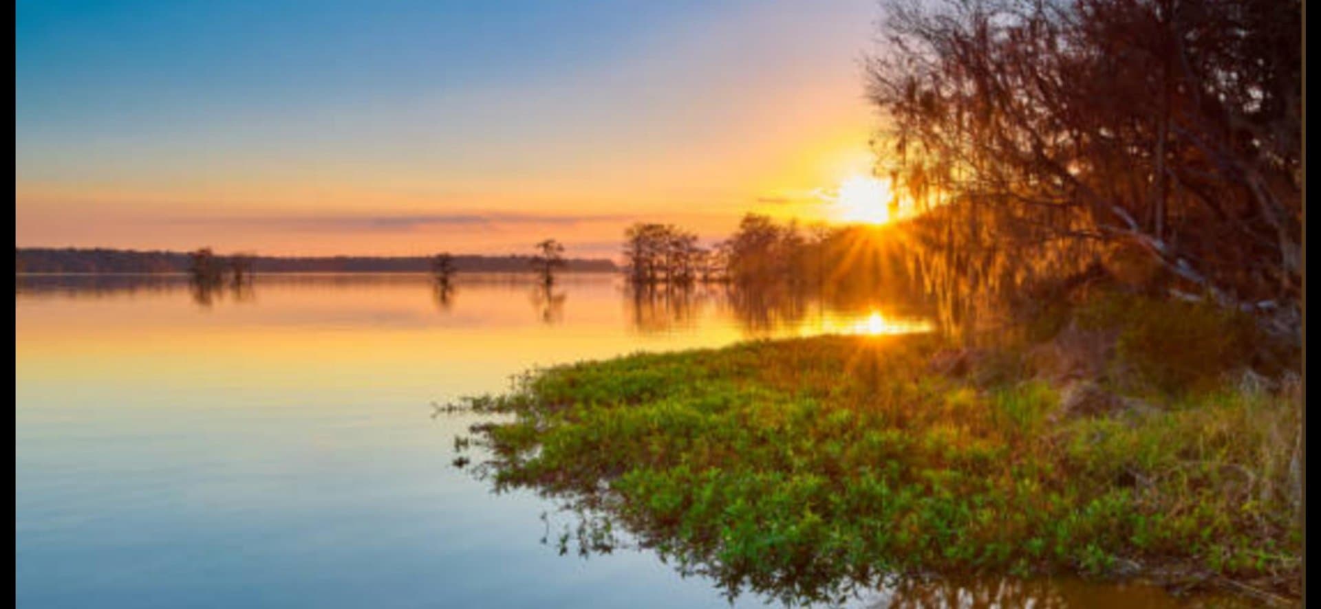 SISESTI teren. 5000mp iesire la LAC — Sisesti, București