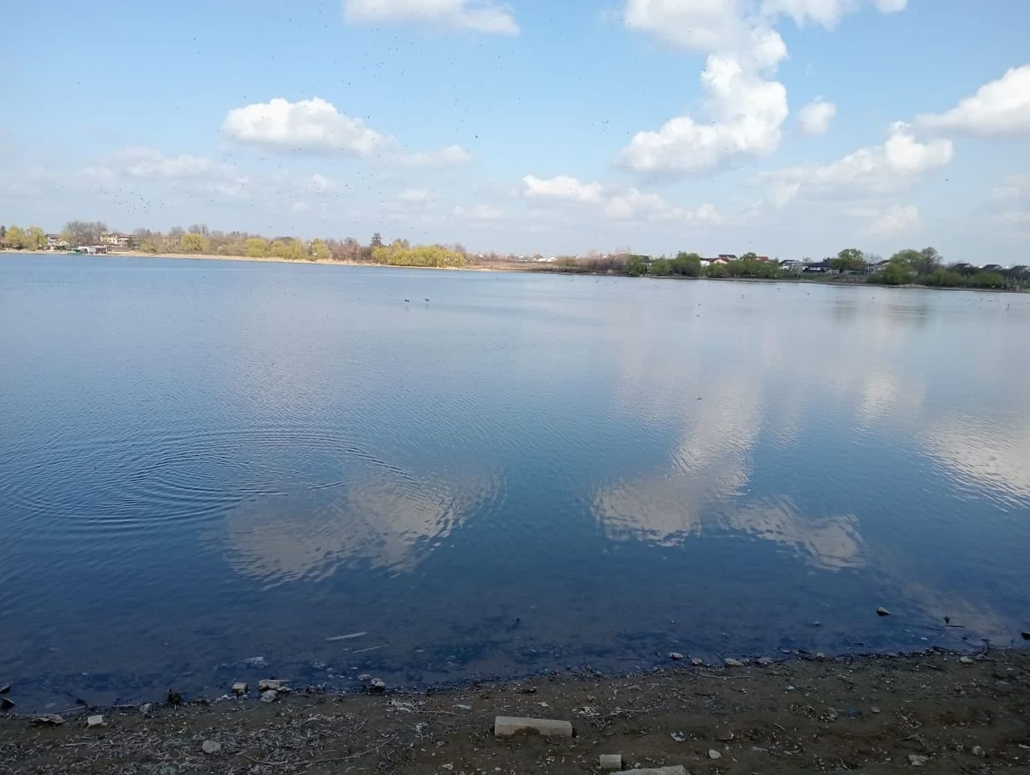 SUPER OCAZIE VIND TEREN CU DESCHIDRE LA LAC IN BUFTEA — Central, Buftea