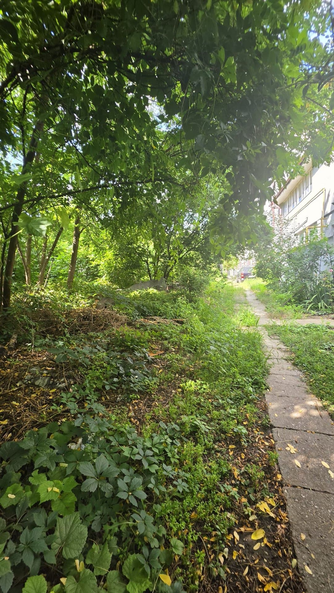 Teren intravilan 250 mp în Băneasa, lățime 21m, București