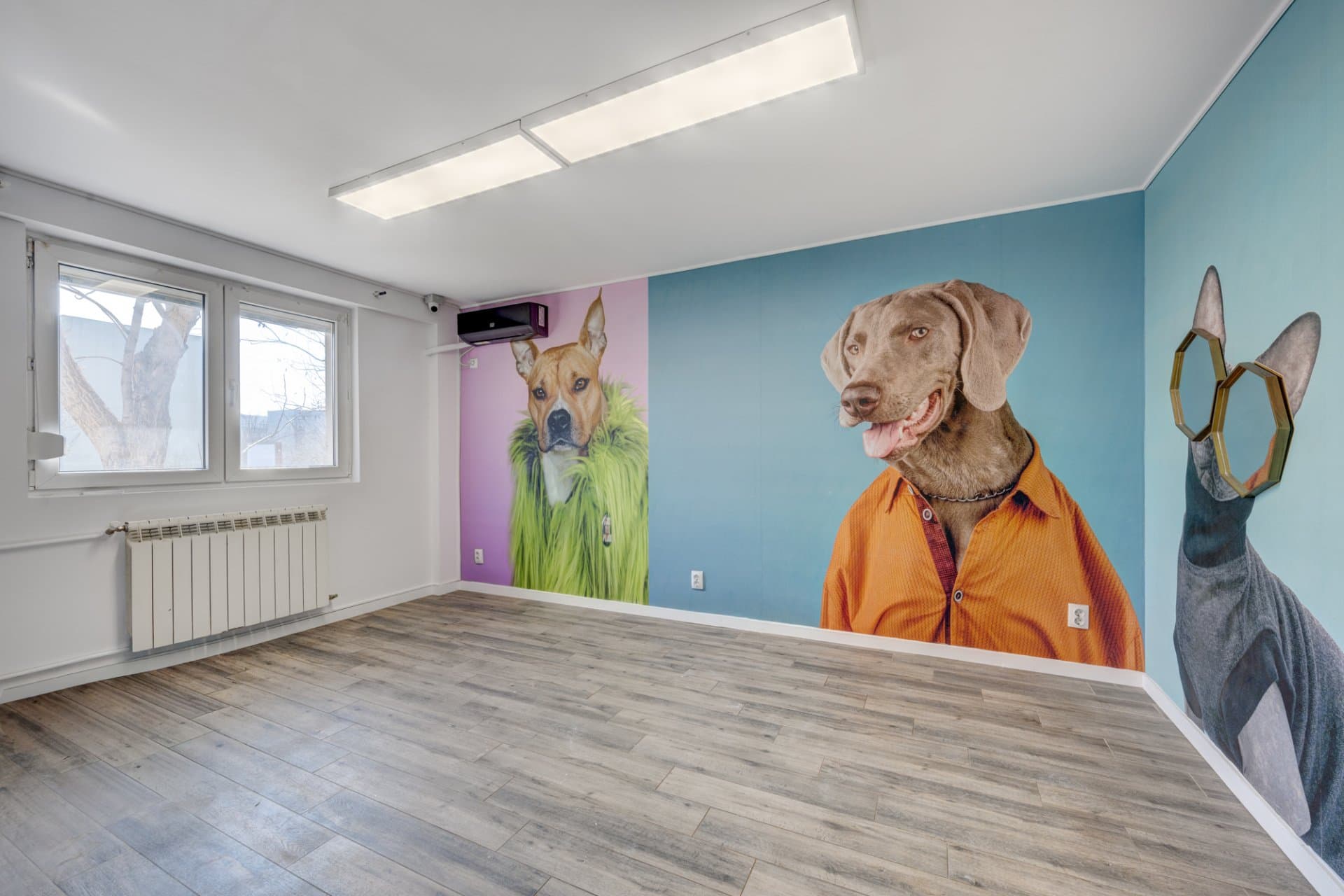Cameră cu fereastră, radiator și pereți colorați