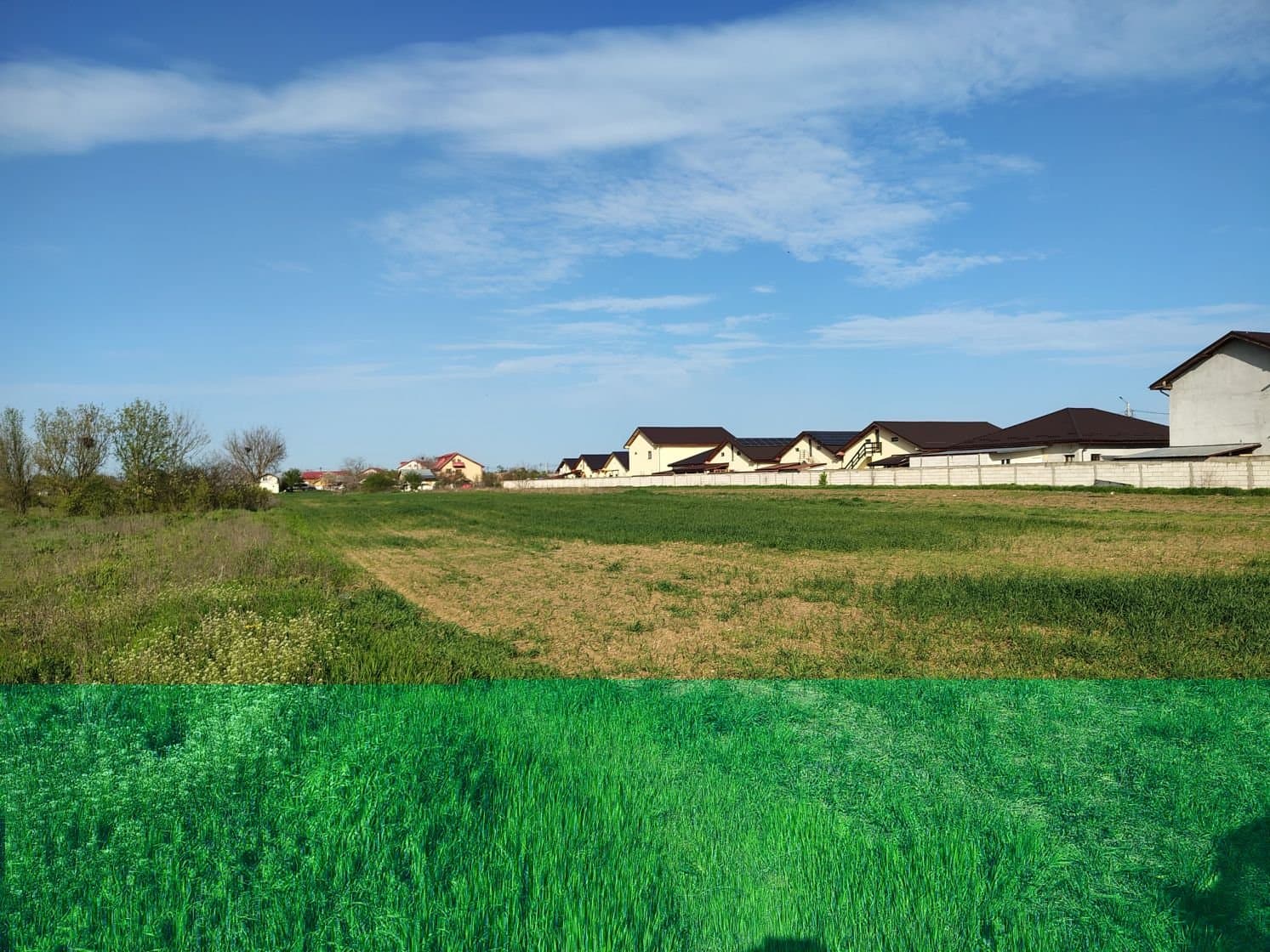 Teren investitie Cernica, Posta — Cernica, Cernica