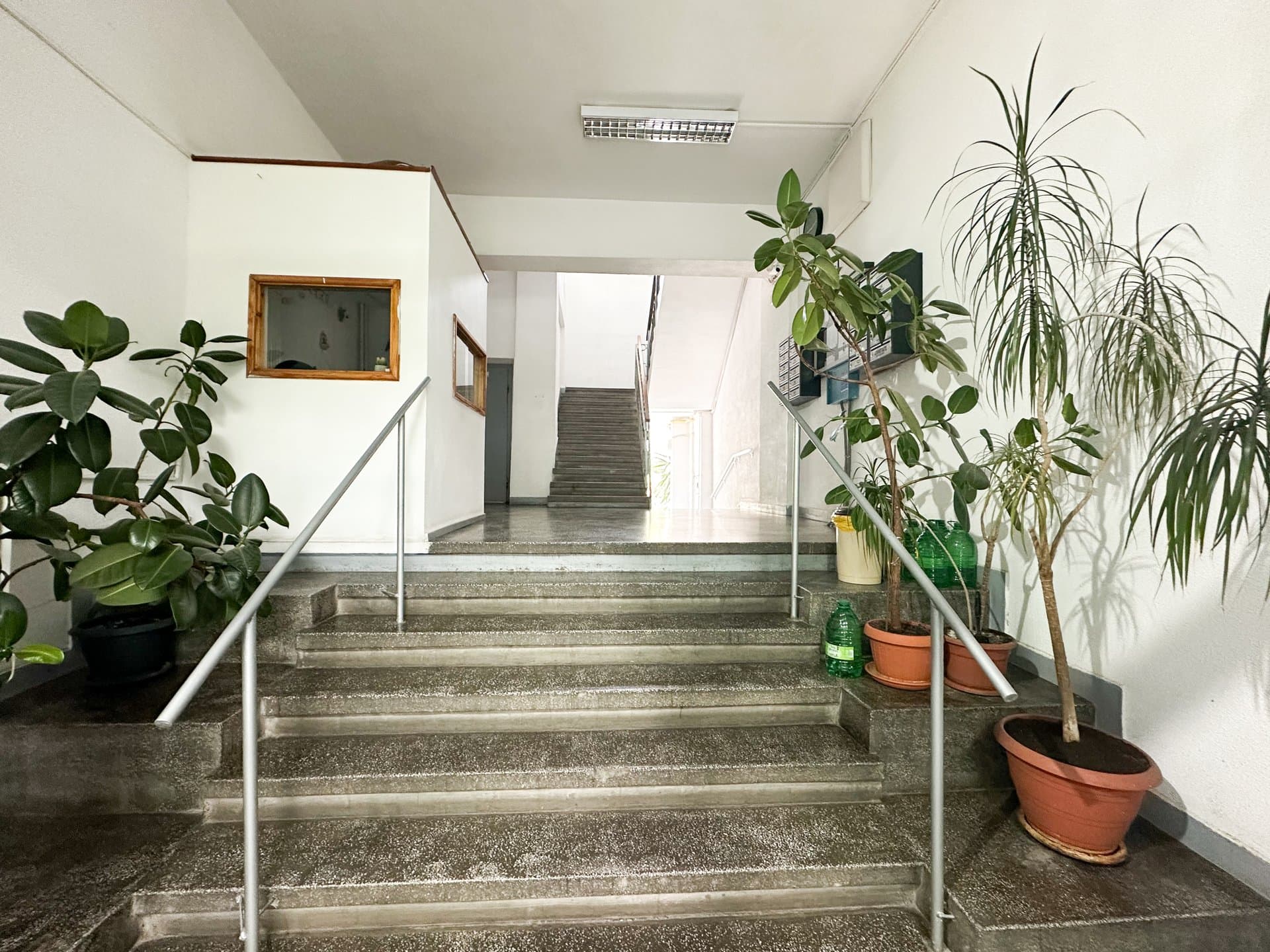 Scări de acces interior cu plante în vase