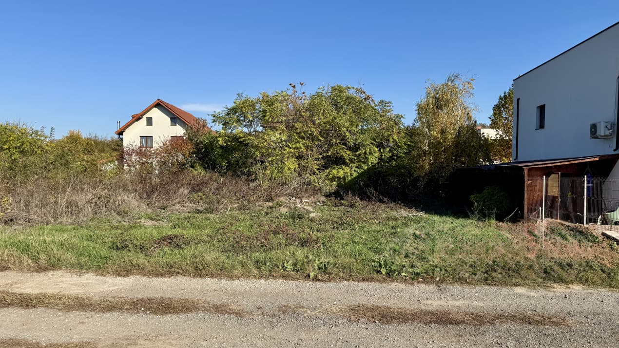 Teren cu vegetație și construcție din spate