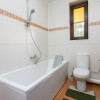 Vila Cernica Balaceanca Arhitectura Unica