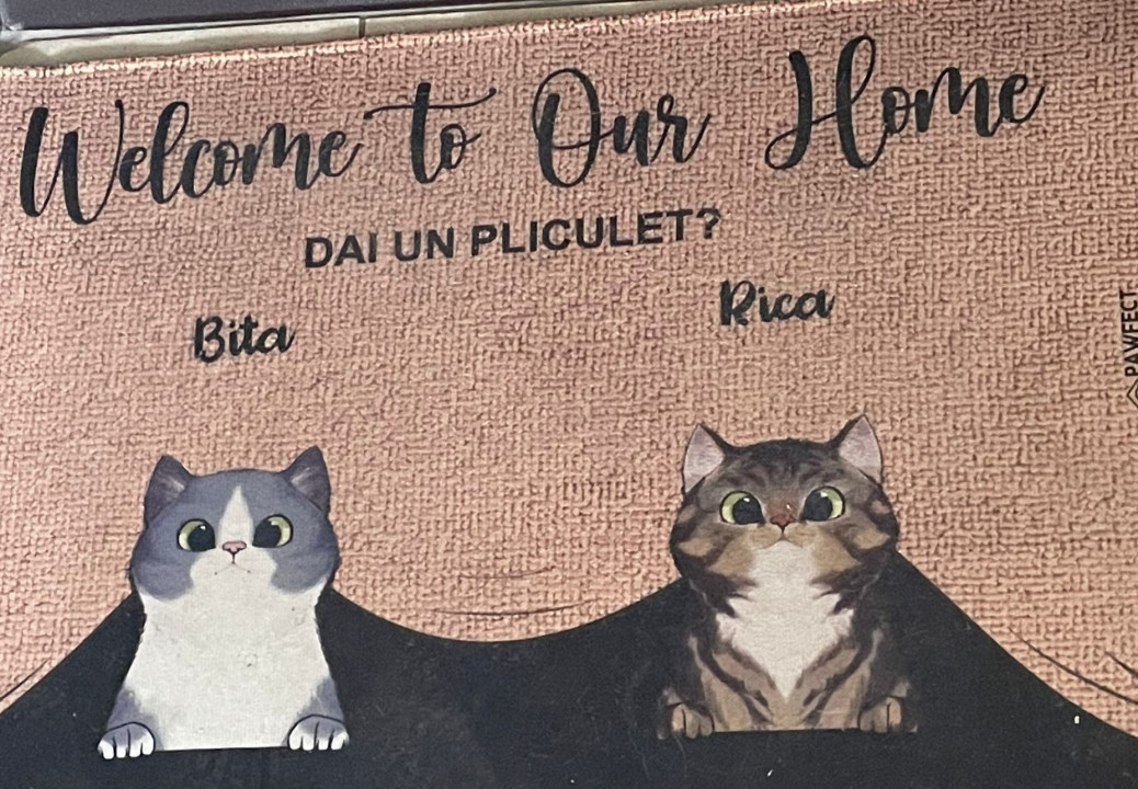 RECENT VANDUT! 1 Decembrie -Garsoniera spatioasa cu loc de parcare si boxa