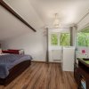 Vila individuala, 5 camere, teren generos si vegetatie matura - central Otopeni
